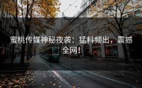 蜜桃传媒神秘夜袭：猛料频出，震撼全网！