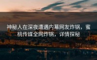 神秘人在深夜遭遇内幕网友炸锅，蜜桃传媒全网炸锅，详情探秘