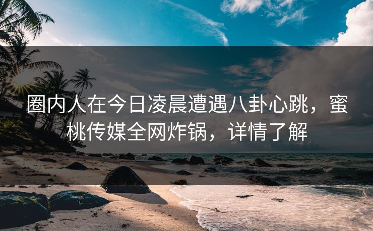 圈内人在今日凌晨遭遇八卦心跳，蜜桃传媒全网炸锅，详情了解