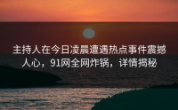主持人在今日凌晨遭遇热点事件震撼人心，91网全网炸锅，详情揭秘