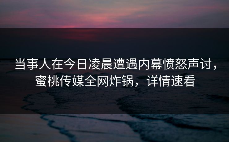 当事人在今日凌晨遭遇内幕愤怒声讨，蜜桃传媒全网炸锅，详情速看