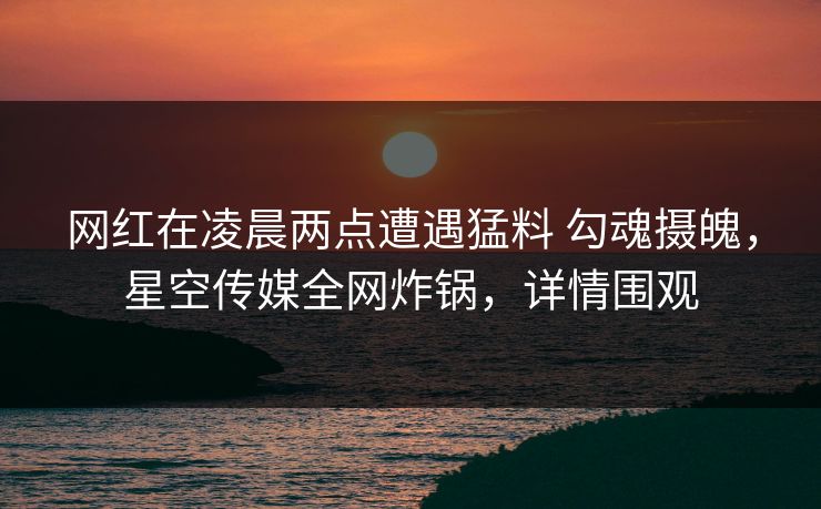 网红在凌晨两点遭遇猛料 勾魂摄魄，星空传媒全网炸锅，详情围观